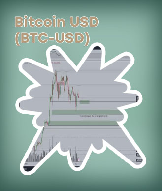 Bitcoin share price
